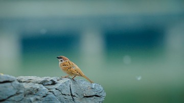 DSC_6147.jpg