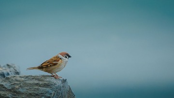 DSC_6149.jpg