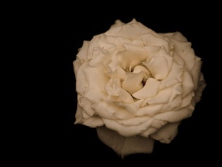 DSC_7866-2.jpg