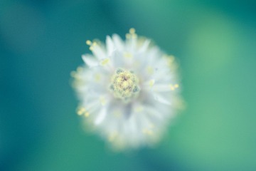 DSC_8034.jpg