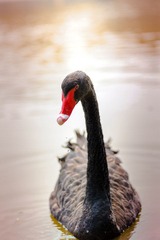 DSC_0228.jpg