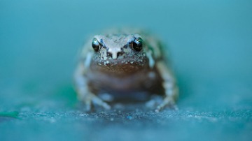 DSC_1069.jpg