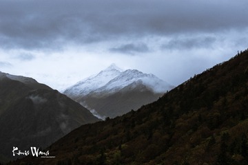 20141003-_DSC6720