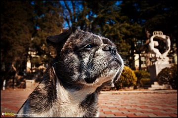 20120217-DSC_5800.jpg