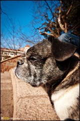 20120217-DSC_5808.jpg