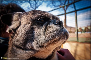 20120217-DSC_5829.jpg