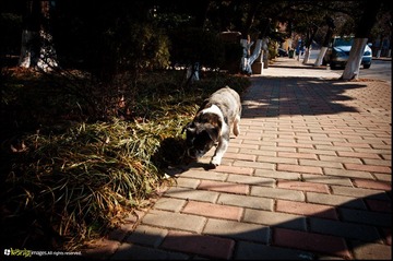20120217-DSC_5833.jpg