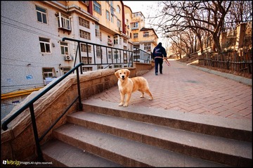 20120125-DSC_5258.jpg