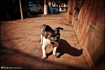 20120217-DSC_5835.jpg