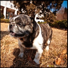 20120217-DSC_5840.jpg