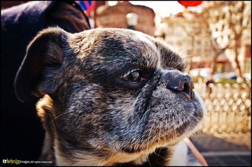 20120217-DSC_5860.jpg