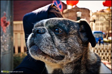20120217-DSC_5862.jpg