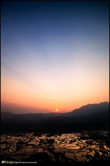 20130316-DSC_3764.jpg