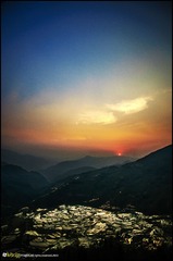 20130316-DSC_4277.jpg