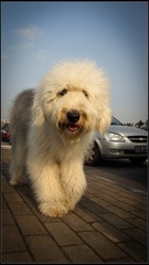 DSC03024-2.jpg