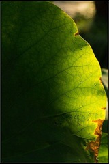 nEO_IMG_DSC05444.jpg