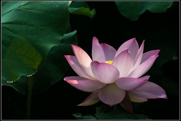 nEO_IMG_DSC05498.jpg
