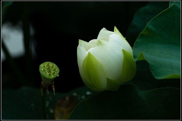 nEO_IMG_DSC05503.jpg