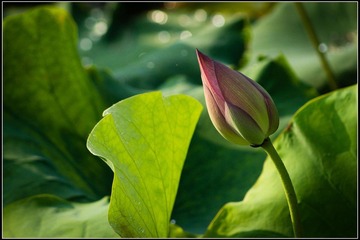 nEO_IMG_DSC05542.jpg