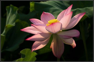 nEO_IMG_DSC05550.jpg