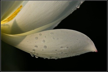 nEO_IMG_DSC05580.jpg