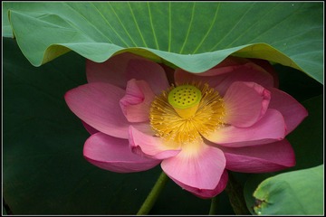 nEO_IMG_DSC05591.jpg