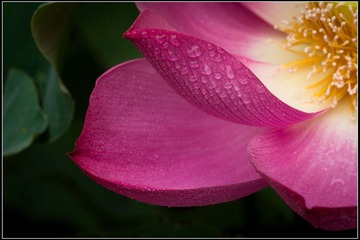 nEO_IMG_DSC05623.jpg