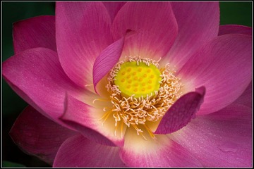nEO_IMG_DSC05630.jpg