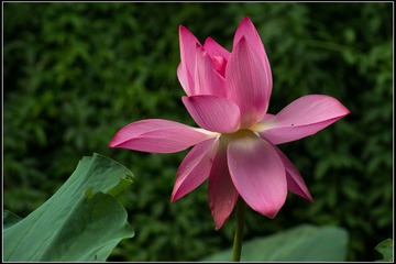 nEO_IMG_DSC05635.jpg