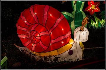 nEO_IMG_DSC09313.jpg