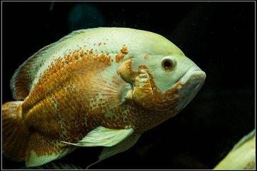 nEO_IMG_DSC00065.jpg