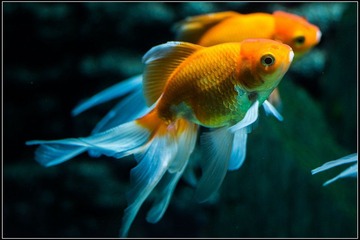 nEO_IMG_DSC00079.jpg