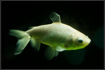 nEO_IMG_DSC00085.jpg