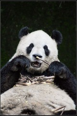 nEO_IMG_DSC00130.jpg