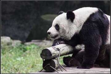 nEO_IMG_DSC00139.jpg