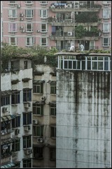 nEO_IMG_DSC00279.jpg
