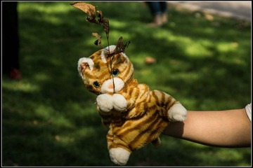 nEO_IMG_DSC00591.jpg