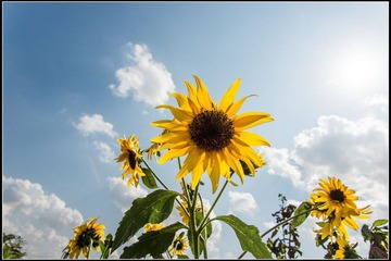 nEO_IMG_DSC00620.jpg