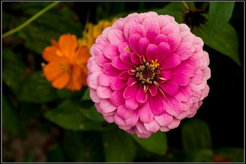 nEO_IMG_DSC00901.jpg