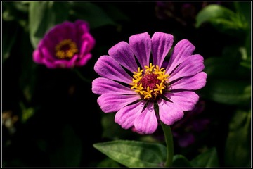 nEO_IMG_DSC00996.jpg