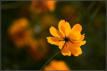 nEO_IMG_DSC01296.jpg