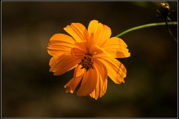 nEO_IMG_DSC01303.jpg