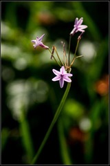 nEO_IMG_DSC02046.jpg