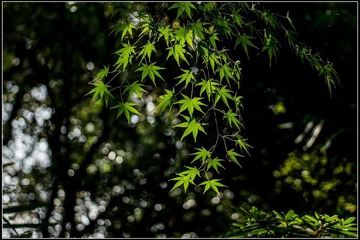 nEO_IMG_DSC02111.jpg
