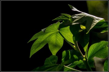 nEO_IMG_DSC02166.jpg