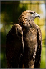 nEO_IMG_DSC02176.jpg