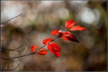 nEO_IMG_DSC02221.jpg