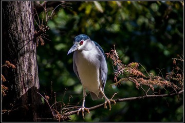 nEO_IMG_DSC02289.jpg