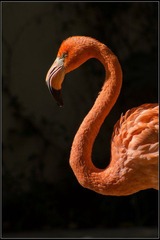nEO_IMG_DSC02317.jpg