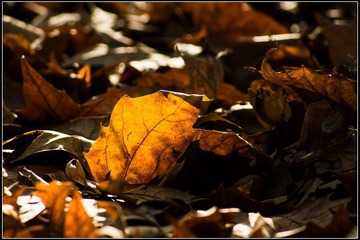 nEO_IMG_DSC02634.jpg
